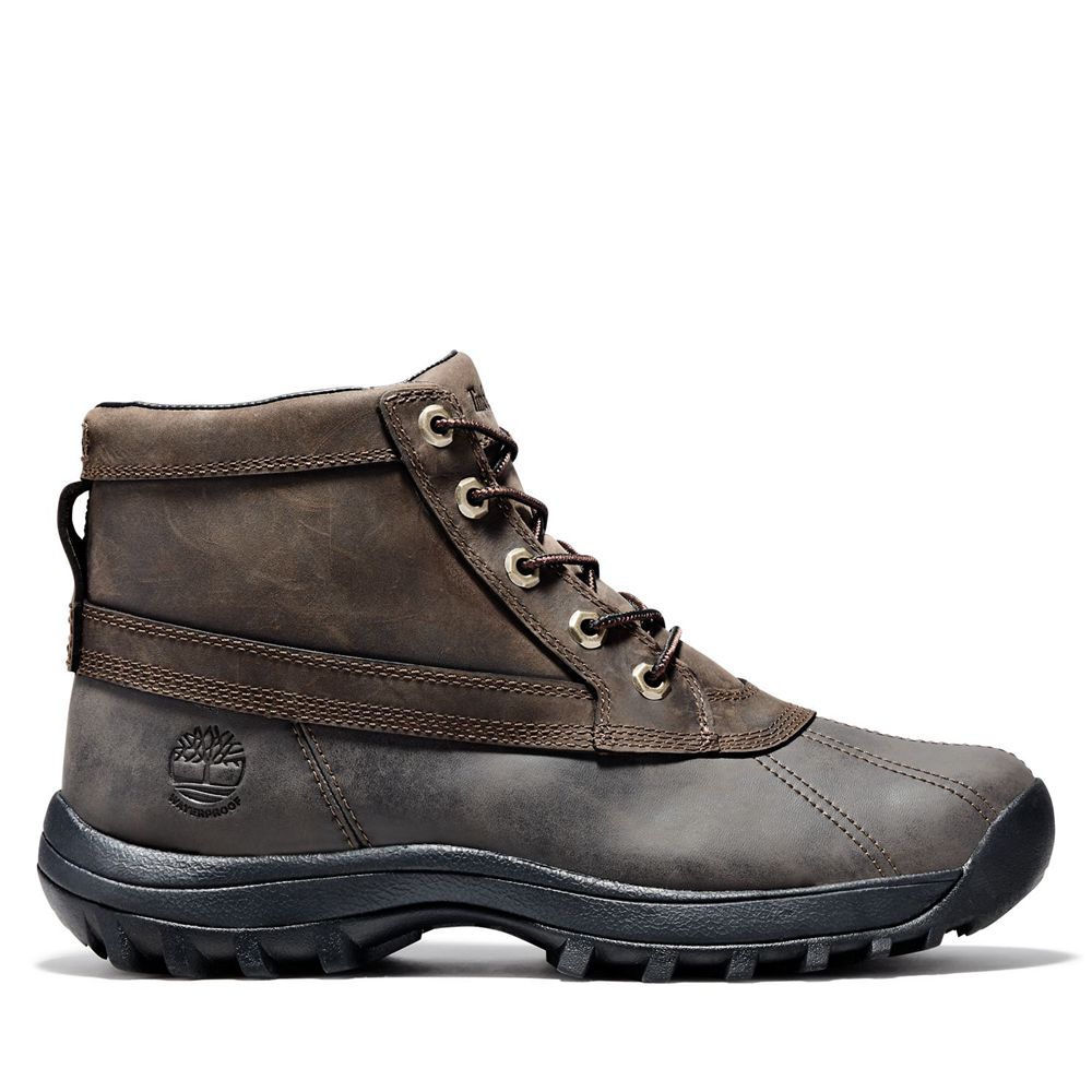 Bota Neve Masculino - Timberland Canard Mid Impermeavel Couro - CNQJV9461 - Marrom